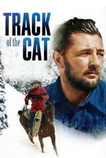 Subtitrare Track of the Cat (1954)