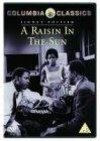 Subtitrare A Raisin in the Sun (1961)