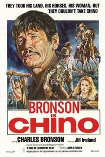 Subtitrare Chino aka The Valdez Horses aka Valdez il mezzosangue (1973)