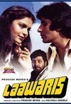 Subtitrare Laawaris (1981)