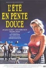 Subtitrare L'été en pente douce (1987)