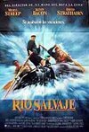 Subtitrare The River Wild (1994)