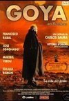 Subtitrare Goya in Bordeaux (1999)