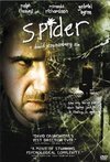 Subtitrare Spider (2002)