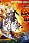Subtitrare Looney Tunes (1930-1970)