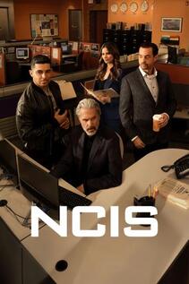 Subtitrare  NCIS - Sezonul 22 (2003)