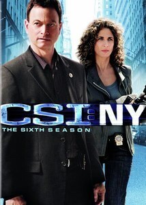 Subtitrare CSI: NY (2004) Sezonul 1