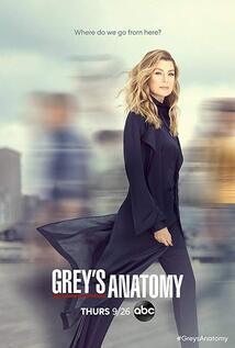 Subtitrare Grey's Anatomy - Sezonul 3 (2007)