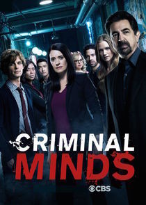 Subtitrare Criminal Minds - Sezonul 13 (2005)