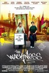 Subtitrare The Wackness (2008)