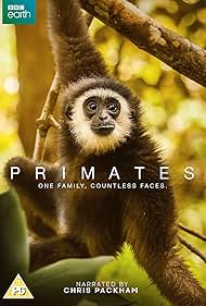 Subtitrare Primates - Sezonul 1 (2020)