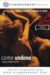 Subtitrare Cosa voglio di piu (Come Undone) (2010)