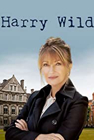 Subtitrare Harry Wild - Sezoanele 1-3 (2022)