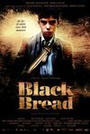 Subtitrare Black Bread (Pa negre) (2010)