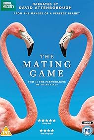 Subtitrare The Mating Game - Sezonul 1 (2021)