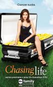 Subtitrare Chasing Life - Sezonul 1 (2014)