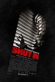 Subtitrare Shut In (2016)