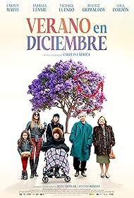 Subtitrare Verano en diciembre (Summer In December) Family Affairs (2024)