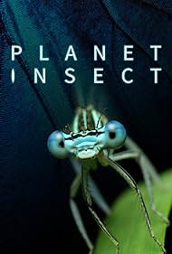 Subtitrare Planet Insect - Sezonul 1 (2022)