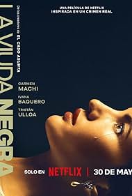 Subtitrare A Widow's Game (La viuda negra) (2025)