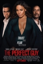 Subtitrare The Perfect Guy (2015)