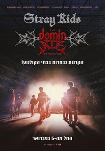 Subtitrare Stray Kids: The dominATE Experience (2026)