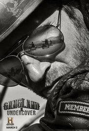 Subtitrare Gangland Undercover - Sezonul 2 (2015)