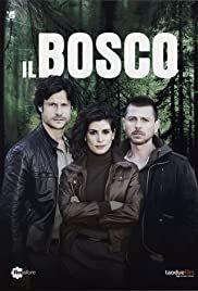 Subtitrare Dark Forest (Il Bosco) - Sezonul 1 (2015)
