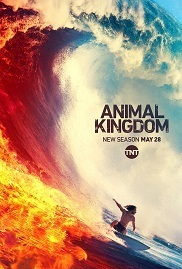 Subtitrare Animal Kingdom - Sezonul 4 (2016)