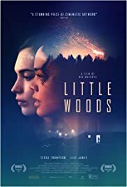 Subtitrare Little Woods (2018)