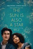 Subtitrare The Sun Is Also a Star (2019)