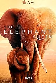 Subtitrare The Elephant Queen (2018)