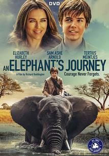 Subtitrare An Elephant's Journey aka Phoenix Wilder and the Great Elephant Adventure (2017)